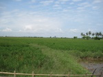 14333IMG_4674.JPG