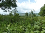21072P1020949.JPG