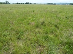 29201WILB20110519GPS.JPG