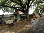 26063DSC00484.JPG