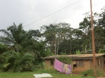 49890CIMG6227.JPG