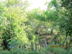 31823IMG_5424.JPG
