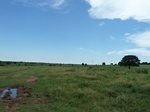 21515P1010339.JPG
