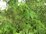 50565CIMG1194.JPG