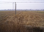 3221R0017255.JPG