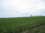 15774IMG_4863.JPG