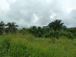 18180P1000016.JPG