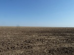 39260P1070763.JPG