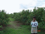 68900142a-irrigated-supplemental-groundwater-pomogranate-dominant-maize.jpg