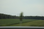 2024-08-05_16-08-53_31FEC078-CC3F-4A56-81B1-45BE963254AA.jpeg