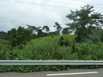 20508P1020365.JPG