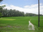 21284DSC00849.JPG