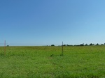 21657P1010483.JPG