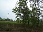 17452100_2140.JPG