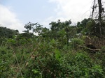 46320CIMG0609.JPG