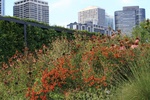 57841IMG_9111.JPG