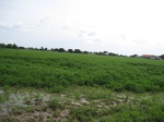 15576IMG_4646.JPG
