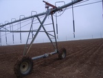 16686RIMG0212.JPG