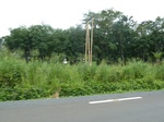 25943P1020362.JPG