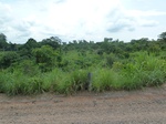 20746P1020603.JPG