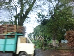 31743CIMG1611.JPG