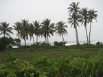 15925IMG_4474.JPG