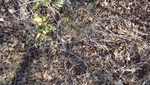 9708DSC01384.JPG