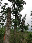 53580CIMG6932.JPG