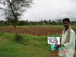 124020106c-rainfed-agriculutre-millet.gif