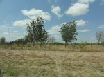 35719DSC02223.JPG