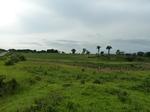 18664P1000502.JPG