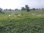 33448RIMG0188.JPG