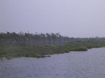 1277R0015088_small.jpg