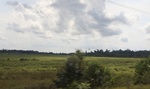 2024-10-10_17-03-58_2C92AB20-5640-41E1-8E0E-AD2C9BC52509_1_201_a.jpeg