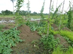 20762P1020620.JPG