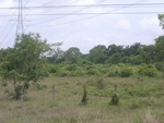 34561RIMG0027.JPG
