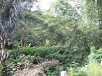 14648IMG_5029.JPG