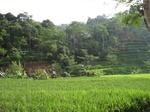 16283IMG_5056.JPG