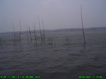 1622R0015260_tag.jpg
