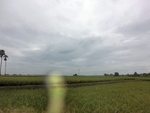 55936CIMG6660.JPG