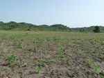 18914P1000757.JPG