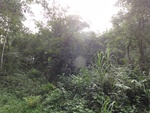 46643DSC01976.JPG