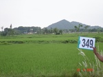 132550349d-irrigated-supplemental-tank-rice-doublecrop.gif