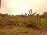 54845Berau (134).JPG