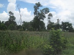 26709IMG_3440.JPG