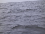 2348 418.jpg