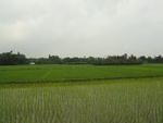 21704DSC00244.JPG