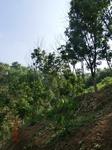 53768CIMG7168.JPG