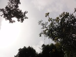 46813DSC02151.JPG