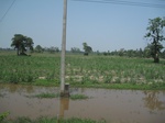 34534IMG_5517.JPG